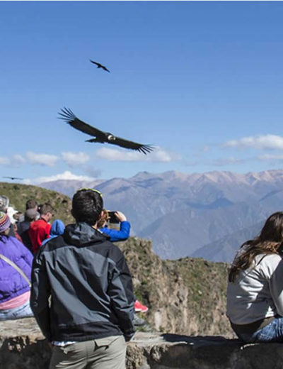 Perú Sur – 9 días & 8 noches