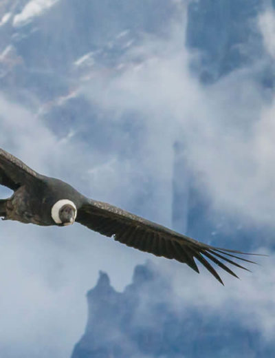 Colca Canyon